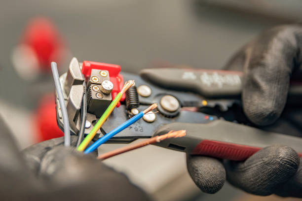 Best Electric Panel Repair  in Mitchellville, IA